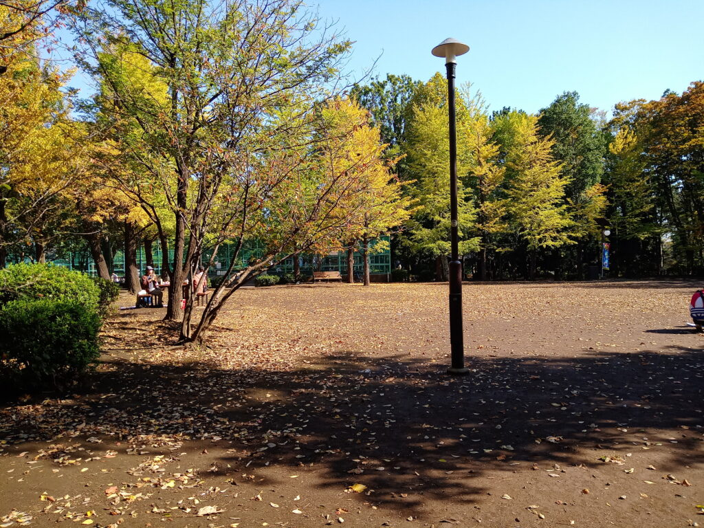 ベンチエリア 羽根木公園 子連れ 遊具 ピクニック 東京公園 アクセス 児童遊園 巨大な滑り台 迷路の遊び場 グローブジャングル 球体型の回転式ジャングルジム 砂場