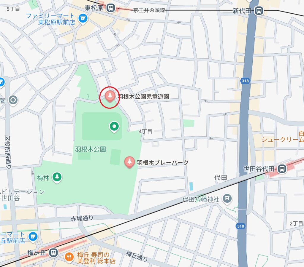 羽根木公園 子連れ 遊具 ピクニック 東京公園 アクセス 児童遊園 巨大な滑り台 迷路の遊び場 グローブジャングル 球体型の回転式ジャングルジム 砂場