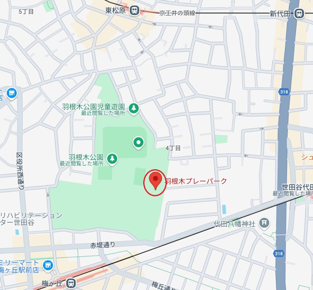 羽根木公園プレーパーク 羽根木公園 子連れ 遊具 ピクニック 東京公園 アクセス 児童遊園 巨大な滑り台 迷路の遊び場 グローブジャングル 球体型の回転式ジャングルジム 砂場