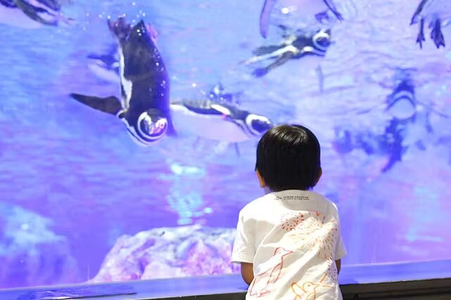 ソラマチのすみだ水族館：赤ちゃんと一緒に楽しめるスポット 月島もんじゃ ソラマチ 子連れ 東京ソラマチ 赤ちゃん連れ レストラン ソラマチ 子ども向け スポット 東京観光 子連れおすすめ ソラマチ ベビーグッズ施設 すみだ水族館 赤ちゃん対応 ソラマチ 子連れで楽しめる場所 もんじゃ焼き 子連れ 安心 東京 月島もんじゃ ソラマチ 子連れに優しい理由 東京ソラマチ 赤ちゃんも安心の設備紹介 東京観光 子どもと行くおすすめスポット ソラマチ編 すみだ水族館 ベビーガーデン 子連れで楽しむ1日プラン もんじゃ焼き 初めて 子どもと行く 東京